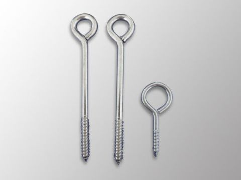 點(diǎn)擊查看詳細(xì)信息<br>標(biāo)題：Eye Bolt 閱讀次數(shù)：1115