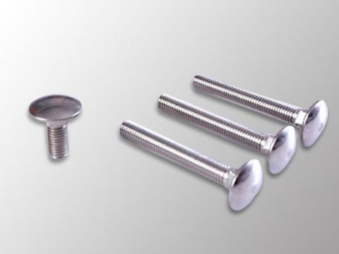 點(diǎn)擊查看詳細(xì)信息<br>標(biāo)題：Carriage Bolt 閱讀次數(shù)：1209
