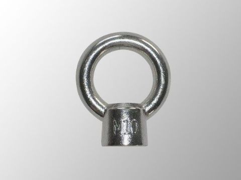 點(diǎn)擊查看詳細(xì)信息<br>標(biāo)題：Eye Bolt 閱讀次數(shù)：1419