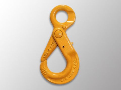 點擊查看詳細信息<br>標題：自鎖鉤 閱讀次數(shù)：1483