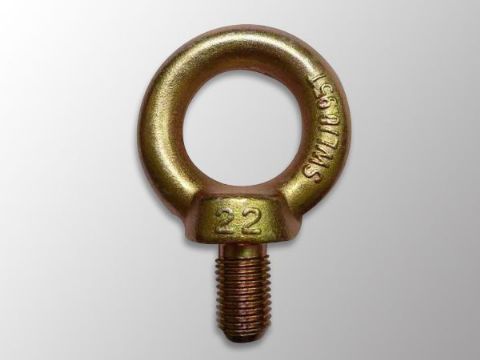 點(diǎn)擊查看詳細(xì)信息<br>標(biāo)題：吊環(huán)螺栓DIN580 閱讀次數(shù)：1239